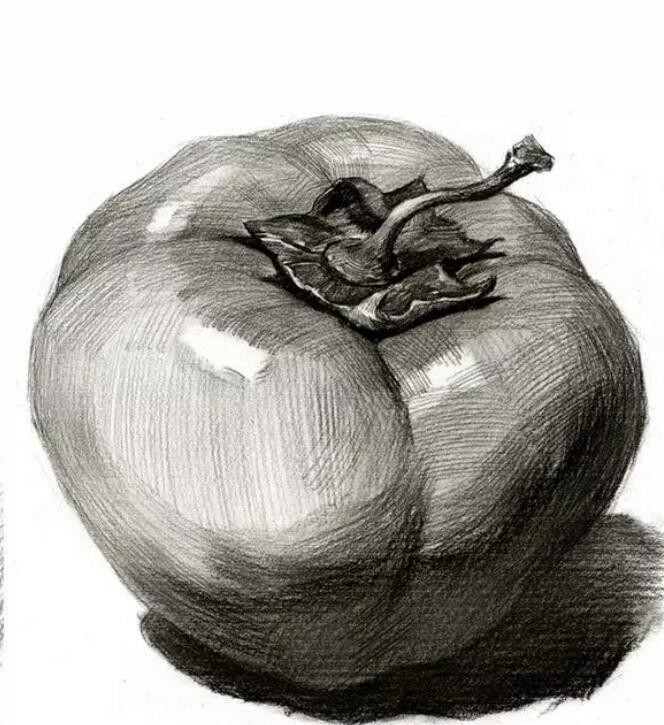 教你畫一組素描靜物，步驟超詳細