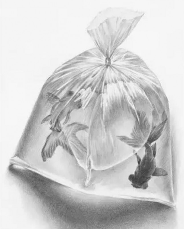 欣賞-素描畫成這樣才好看！