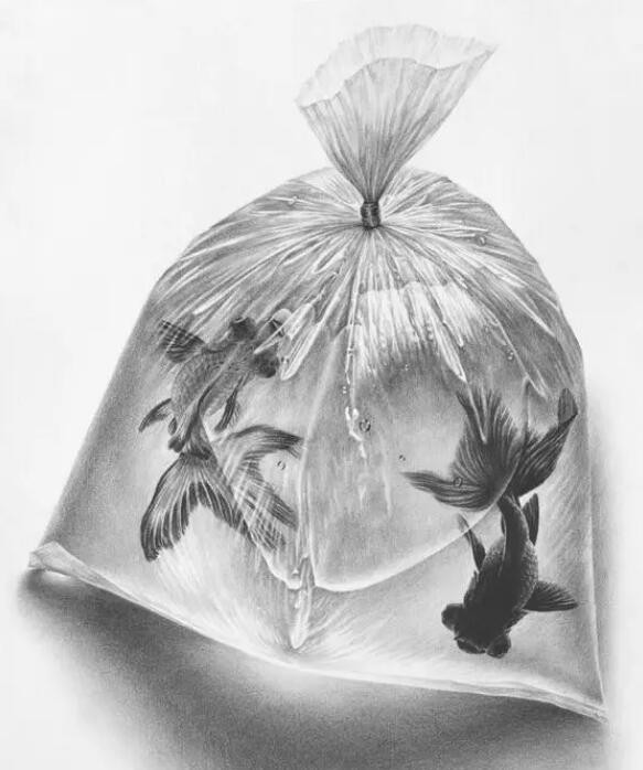 欣賞-素描畫成這樣才好看！